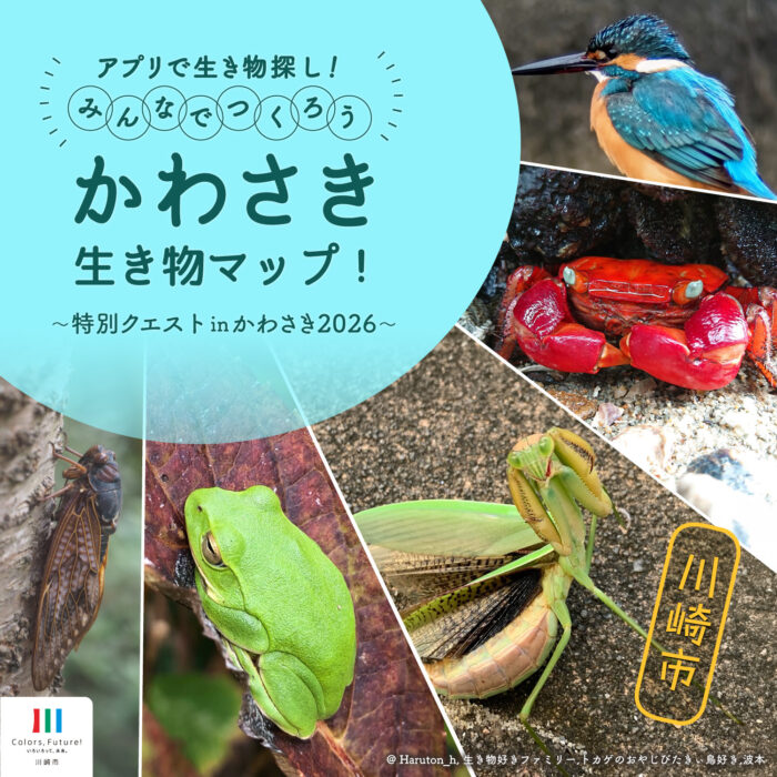 「セミ3種類撮ったらプレゼント当選? 川崎市が「生き物探し」で夏休みイベント開催中」