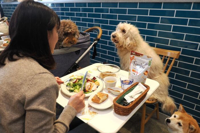 愛犬とおそろいの素材を使った食事が楽しめる『Frecious 素材実感Cafe』が横浜に期間限定オープン