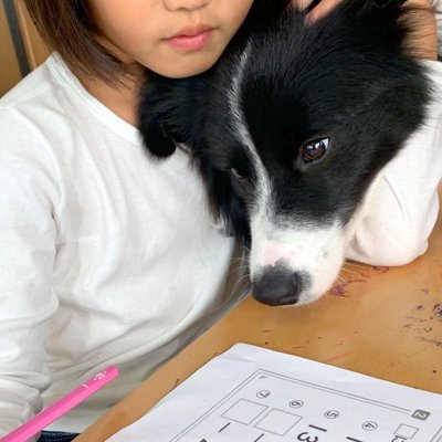 女の子が学校の宿題をしていたら、横にいた犬が…とんでもなく健気な『寄り添って待つ姿』が18万表示「可愛い」「お利口さん過ぎる」と絶賛 | Cube  ニュース