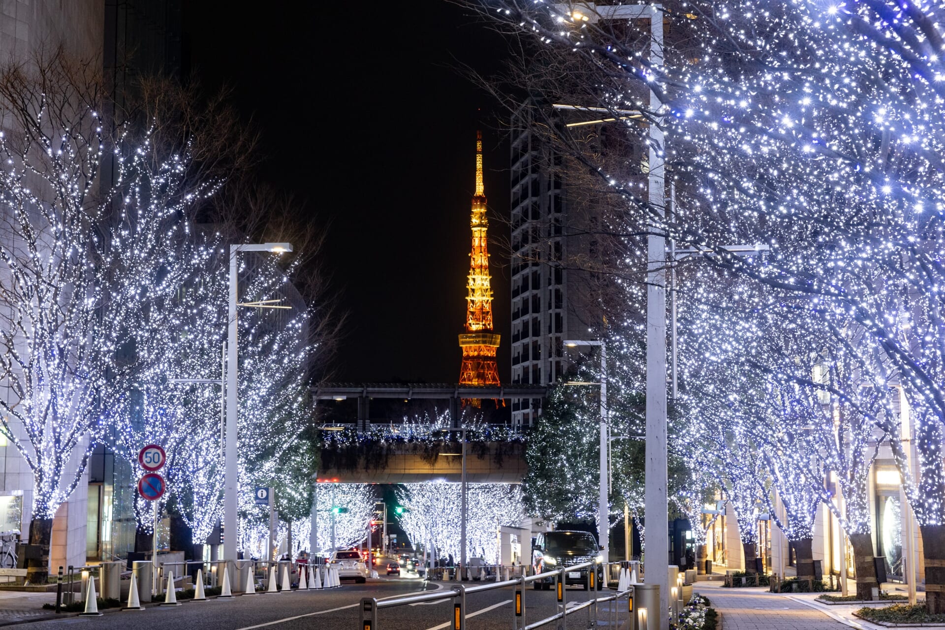 六本木冬の風物詩「けやき坂イルミネーション」が今年も点灯！『Roppongi Hills Christmas 2024』が11月7日より開催