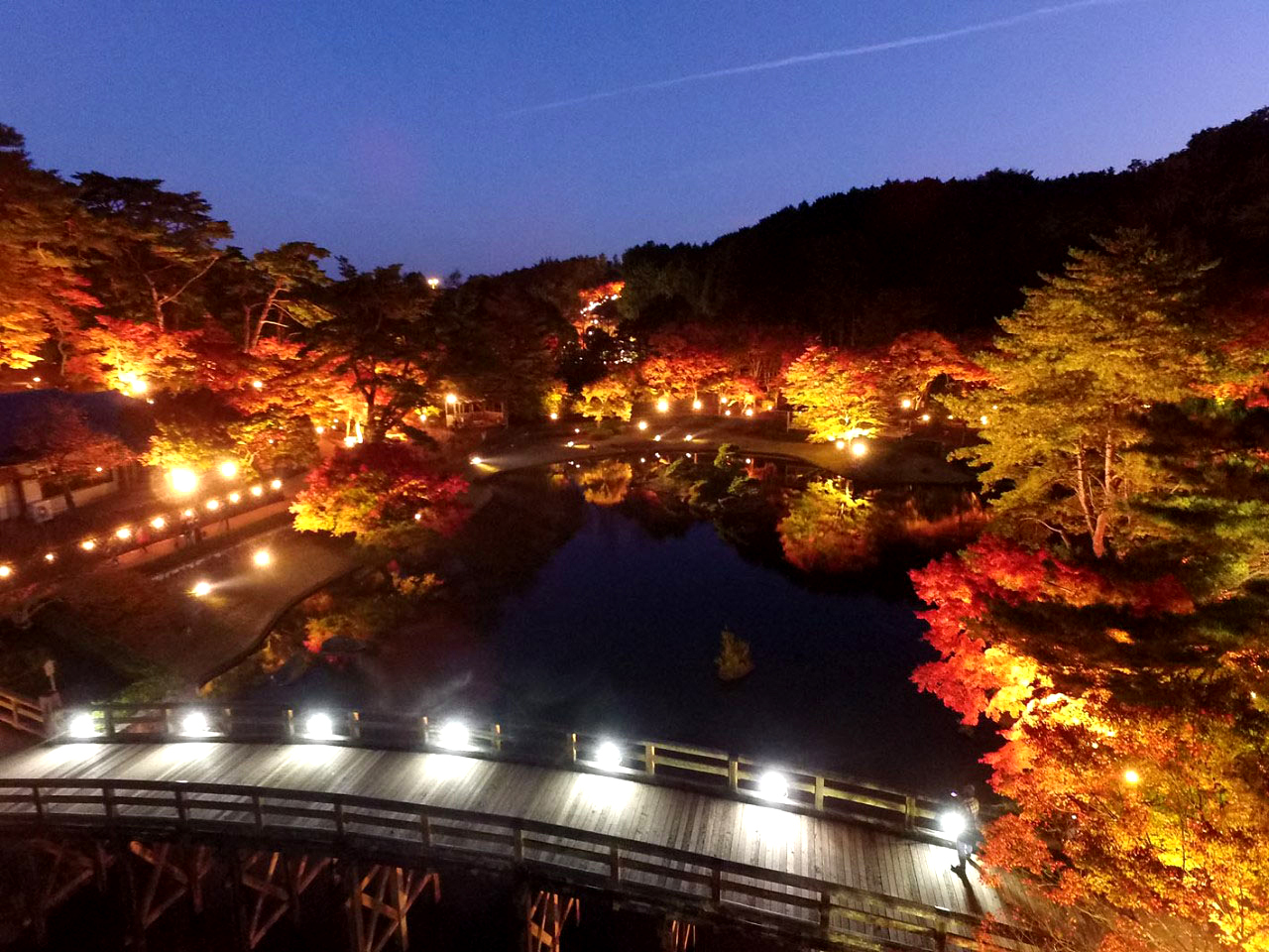 静岡・修善寺虹の郷、紅葉イベント「もみじライトアップ」＆「秋の打上花火」11月16日より開催！