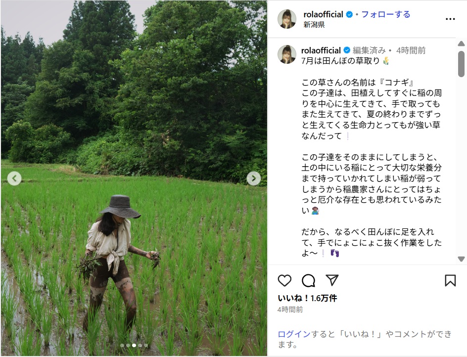 ローラ、ショーパン姿での草取り作業ショット公開!「素晴らしい活動」「ナチュラルで素敵」