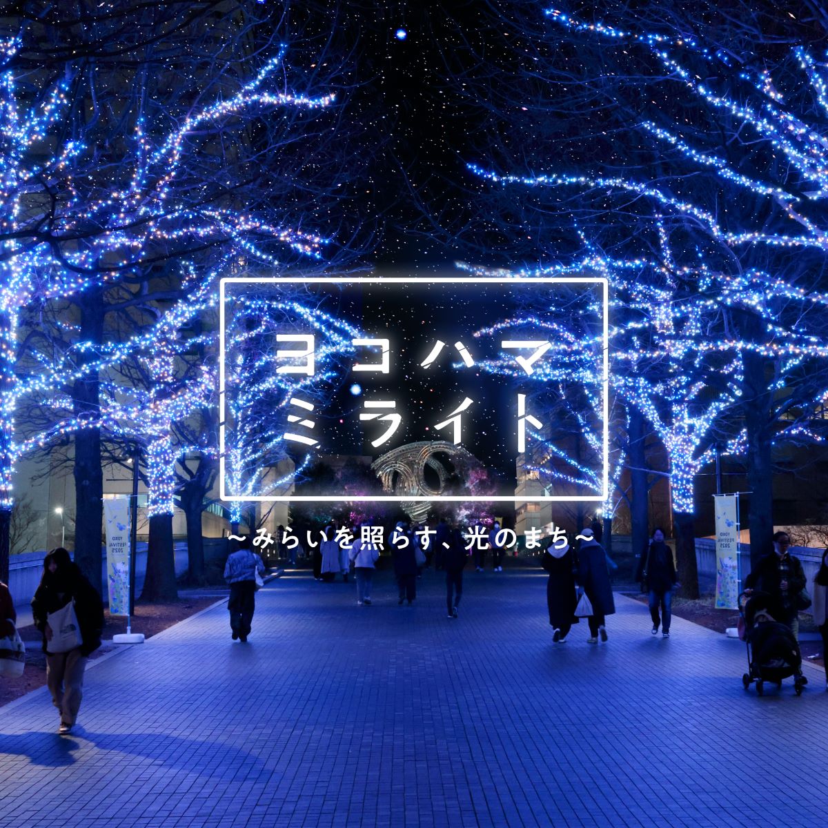 横浜最大級のイルミネーションイベント「ヨコハマミライト2025 ~みらいを照らす、光のまち~」11月6日より開催!