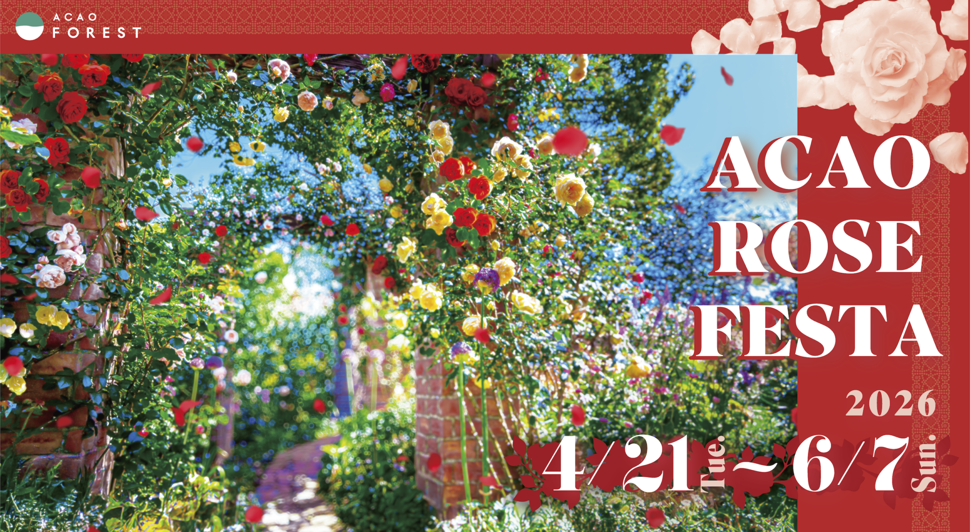 熱海「ACAO FOREST」、約600種4,000株のバラが咲き誇る「ACAO ROSE FESTA 2026」が4月21日より開催！