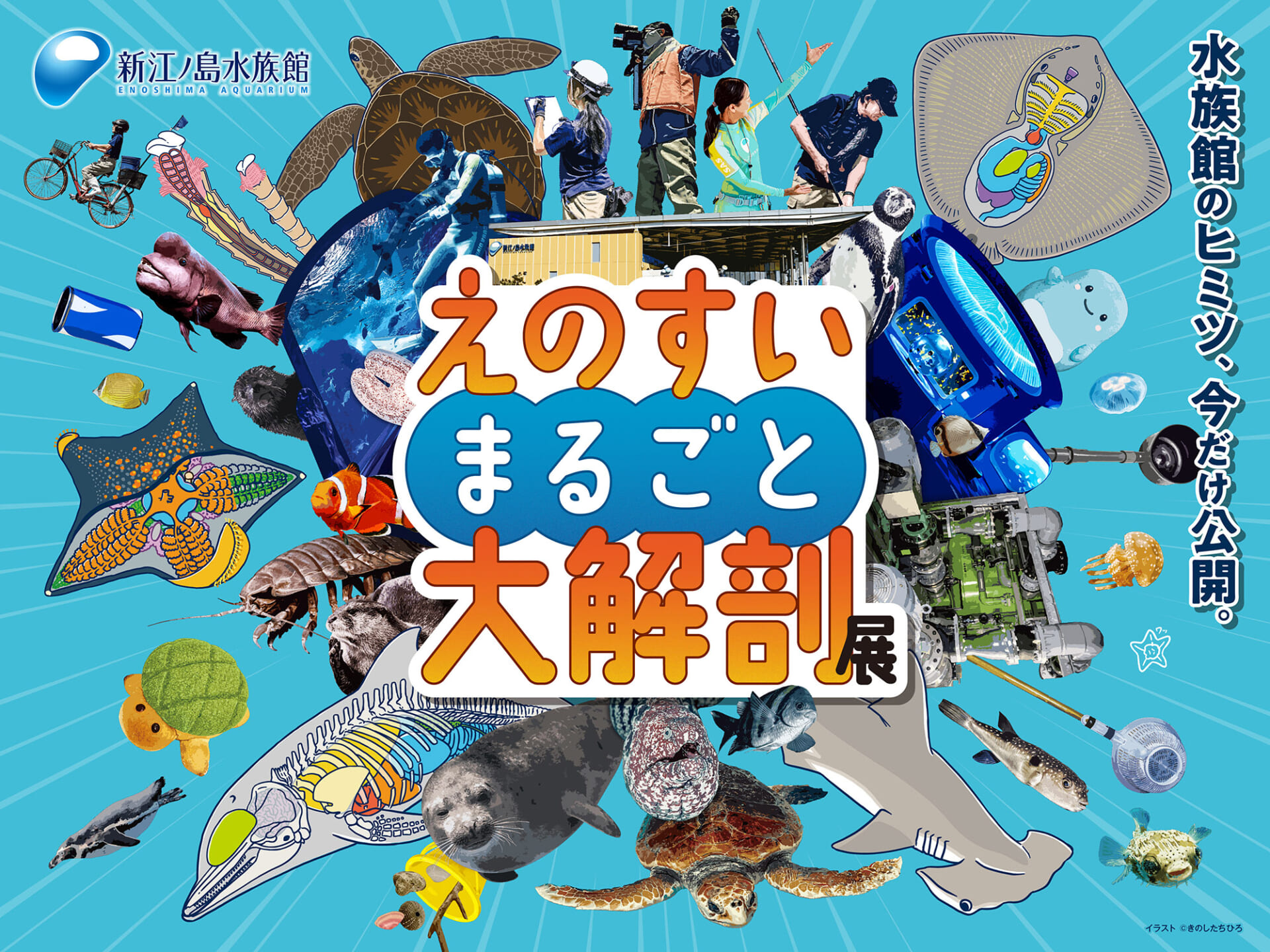 新江ノ島水族館、「えのすいまるごと大解剖展」7月3日より開催!スタンプラリー開催や限定グッズも登場