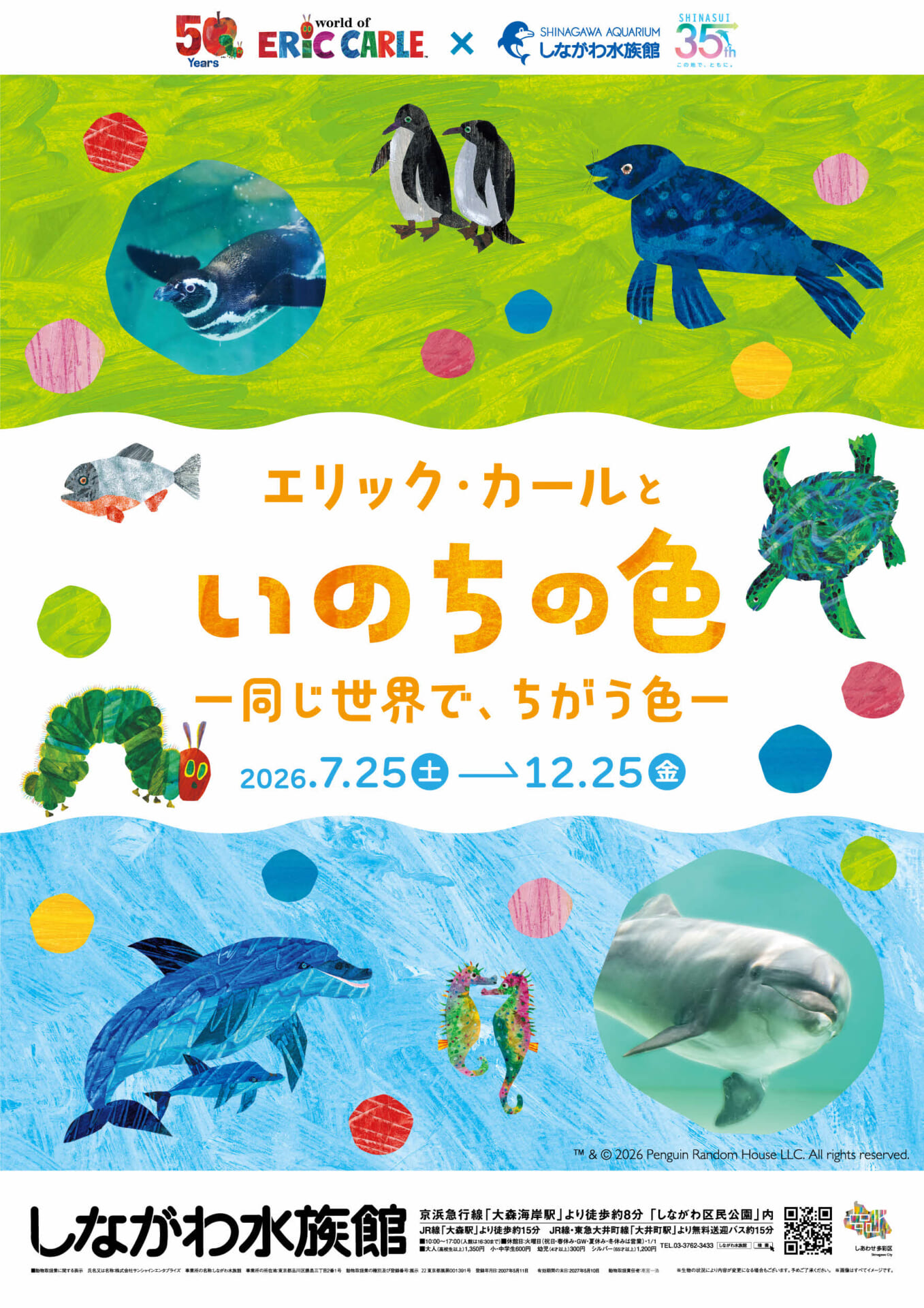しながわ水族館、特別展「エリック・カールといのちの色‐同じ世界で、ちがう色‐」7月25日より開催!