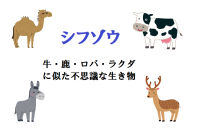 シフゾウは日本の動物園にもいる、野生から一度姿を消した幻の動物！