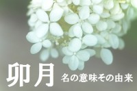 旧暦で4月を意味する「卯月（うづき）」、その由来は十二支の「卯」とはまた別物なんです！！