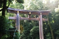 日本人の伝統的考え方「ハレとケ」、その意味や由来を解説！