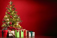 クリスマスに飾られる「モミの木」、なにを象徴している木？キリストと何か関係あるの？