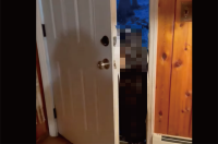 ドアを開けたら玄関の前に『ある動物』が！その姿にもビックリですが、更に驚きの行動に！？【アメリカ・動画】
