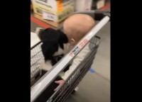 お買い物に連れてきてもらった赤ちゃんと愛犬。ショッピングカートに乗りぎゅっと抱き合うふたりの姿がとっても微笑ましい！！