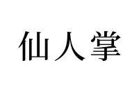 【読めたらスゴイ！】「仙人掌」って一体何！？なんだか超能力が使えそう！この漢字、あなたは読めますか？
