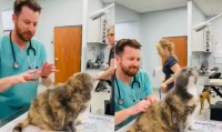 猫の気持ちいところを熟知した獣医がピンポイントで猫を刺激すると猫が歌い出した！？
