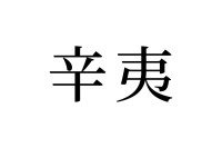 【読めたらスゴイ！】「辛夷」って何のこと？からいじゃないよ！この漢字、あなたは読めますか？