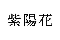 【読めたらスゴイ！】「紫陽花」ってどんな花？これから見頃を迎えるお花です！この漢字、あなたは読めますか？