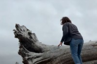 巨大な流木を見つけたという女性。木をタッチできる場所まで移動するとその大きさにビックリ！！ありえない巨木でした