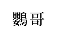 【読めたらスゴイ！】「鸚哥」って何のこと！？みんな知っている、あの生き物だった！この漢字、あなたは読めますか？
