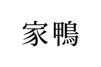 【読めたらスゴイ！】「家鴨」って何のこと！？一度は見たことがあるハズ！この漢字、あなたは読めますか？