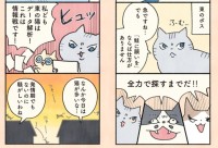 Twitterで話題の漫画「猫と飼い主をつなぐ、”もしも”と”まさか”の物語」これは惹きこまれる！④