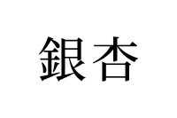 【読めたらスゴイ！】「銀杏」って何のこと！？秋にみかけるあの実です！この漢字、あなたは読めますか？