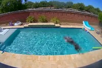 「ヒャッホー！！」飼い主不在のプールで愛犬がどう過ごすかカメラで観察してみたら・・・
