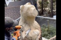 チェーンソーで木を削っていく男性。瞬く間に『ある動物』の巨大彫刻が完成！！【アメリカ・動画】