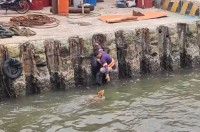 大変！犬が陸に上がれずずっと泳いでいる！！犬を救助した男性の行動に感動【海外・動画】