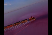 海列車は実在した！？ピンクの水面を列車を走る姿が幻想的！！【海外・動画】