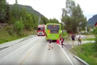 【ドラレコ映像】バスの直前直後の道路横断は本当に危険な事がよくわかる映像に思わず声が出ちゃう！