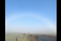 霧が生んだ絶景。愛犬の散歩に出かけたら目前に広がったのは・・、珍しい自然現象「白虹」です！！【海外・動画】