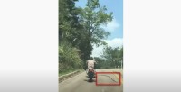【衝撃映像】スネークアタック！！大蛇によるバイク襲撃！野生のヘビが走行中のバイクの運転手に襲い掛かる！！