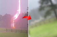 衝撃の落雷映像！馬牧場の電気柵に雷が直撃！！！一瞬にして電気柵は爆発し煙を上げた！