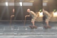 【優しい気持ちになる動画】ゆっくりゆっくりと...杖をついて歩くおじいさんと一緒にあるく犬の優しさ