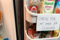 冷蔵庫を開ける「冷蔵庫を閉める前に猫の腕に注意」という謎の張り紙が！すぐにその張り紙の意味を理解することになった。