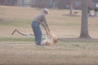 「いやだ～！帰りたくないよ～」公園で駄々をこねる犬が微笑ましい