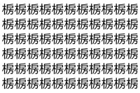 【脳トレ】「椖」の中に紛れて1つ違う文字がある！？あなたは何秒で探し出せるかな？？【違う文字を探せ！】