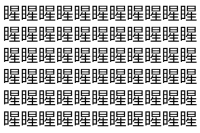 【脳トレ】「睲」の中に紛れて1つ違う文字がある！？あなたは何秒で探し出せるかな？？【違う文字を探せ！】