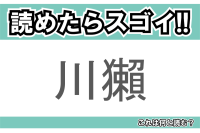 【読めたらスゴイ！】「川獺」とは一体何のこと！？とても愛らしい外見のある動物のことですが・・！この漢字を読めますか？