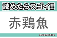 【読めたらスゴイ！】「赤鶏魚」とは一体何のこと！？漢字の通り体の赤いある魚のことですが・・この漢字を読めますか？