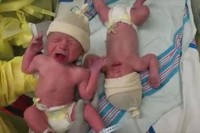 産まれたての双子の赤ちゃん 再びお互いの肌が触れ合った瞬間！微笑ましい奇跡が起きた