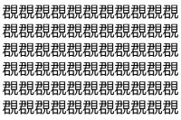 【脳トレ】「覠」の中に紛れて1つ違う文字がある！？あなたは何秒で探し出せるかな？？【違う文字を探せ！】