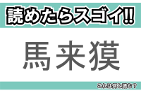 【読めたらスゴイ！】「馬来獏」とは一体何のこと！？体の色と模様が特徴的な動物のことですが・・・この漢字を読めますか？