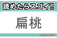 【読めたらスゴイ！】「扁桃」とは一体何のこと！？栄養満点のある食べ物のことですが・・・この漢字を読めますか？