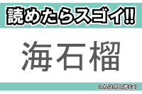 【読めたらスゴイ！】「海石榴」とは一体何のこと！？海とは入っていますが「控えめな素晴らしさ」等の花言葉のある植物の事ですが・・・この漢字を読めますか？