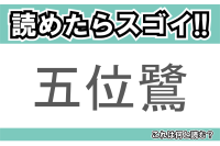 【読めたらスゴイ！】「五位鷺」とは一体何のこと！？鳴き声が特徴的でペンギンにも似ている鳥ですが・・・この漢字を読めますか？