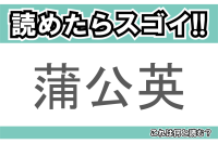 【読めたらスゴイ！】「蒲公英」とは一体何のこと！？春を代表する花のひとつですが・・・この漢字を読めますか？