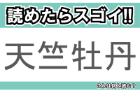 【読めたらスゴイ！】「天竺牡丹」とは一体何のこと！？大きくて丸い形をしたその花は・・・この漢字を読めますか？