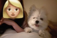 一緒に映画鑑賞！仲良く寝転んで映画を見る愛犬に「尊いですね」「キャアァカワィィッ！」