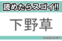 【読めたらスゴイ！】「下野草」とは一体何のこと！？園芸品種もある花の名前ですが・・・この漢字を読めますか？